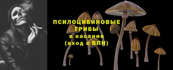 индика Абдулино