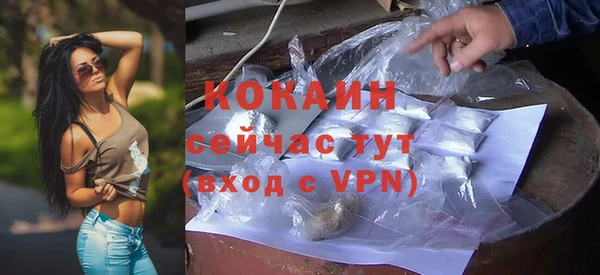 индика Абдулино